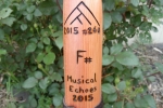 Competition Flute 2015g