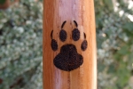 Wolf paw